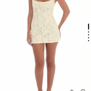 Lucy in the Sky Cream Floral Lace Dress